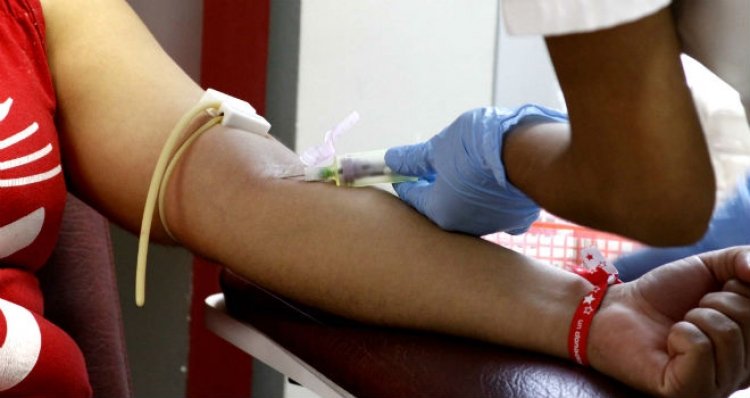 Día Mundial del Donante de Sangre 2016: La sangre nos conecta a todos